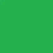 Hexachrome green color field, uniform solid tone, even lighting, flat composition, neutral backdrop, consistent hue, simple visual structure.